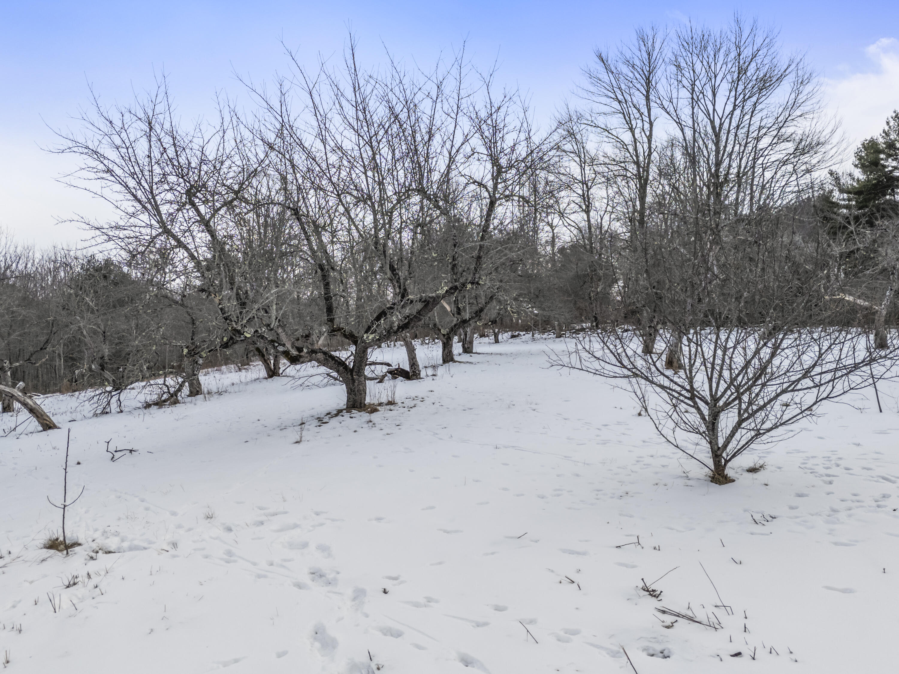 149 Youngs Hill Road Washington, ME 04574 - Photo 89 of 116 149 Youngs Hill Rd_186