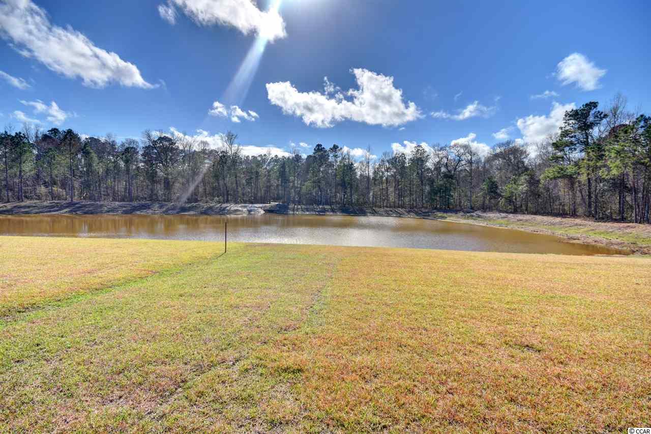 533 Irees Way Longs, SC 29568 - Photo 27 of 30 Gallery Image 27