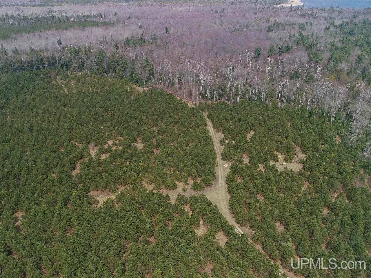 40-acres Gierke Road Manistique, MI 49854 - Photo 27 of 39