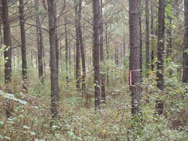 Lot#21 Spur Alley, Unit 21 Rutherfordton, NC 28139 - Photo 2 of 16 a view of a forest with trees