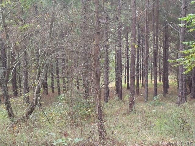 Lot#21 Spur Alley, Unit 21 Rutherfordton, NC 28139 - Photo 11 of 16 a backyard of a house with lots of green space