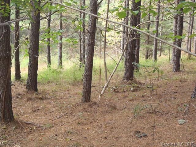Lot#21 Spur Alley, Unit 21 Rutherfordton, NC 28139 - Photo 12 of 16 a backyard of a house with lots of green space