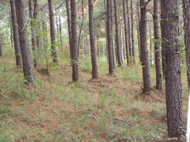 Lot#21 Spur Alley, Unit 21 Rutherfordton, NC 28139 - Photo 3 of 16 a backyard of a house with lots of green space and chair