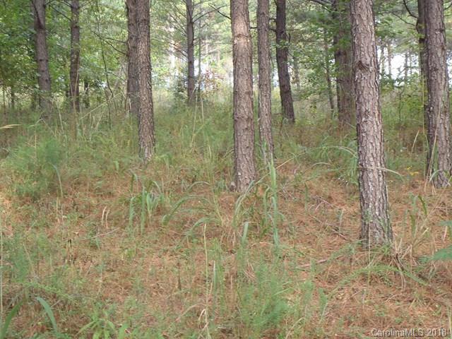 Lot#21 Spur Alley, Unit 21 Rutherfordton, NC 28139 - Photo 4 of 16 a bathroom with a small yard