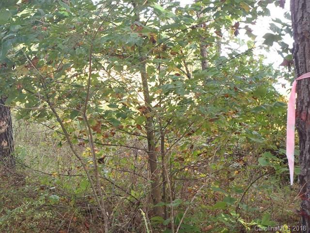 Lot#21 Spur Alley, Unit 21 Rutherfordton, NC 28139 - Photo 6 of 16 a view of a tree