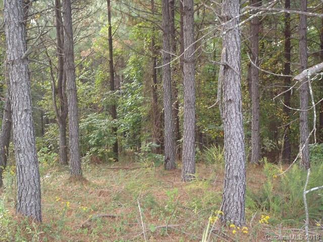 Lot#21 Spur Alley, Unit 21 Rutherfordton, NC 28139 - Photo 8 of 16 a view of a forest
