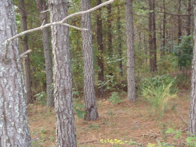 Lot#21 Spur Alley, Unit 21 Rutherfordton, NC 28139 - Photo 9 of 16 a view of a yard with plants and wooden fence