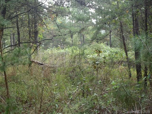 Lot#21 Spur Alley, Unit 21 Rutherfordton, NC 28139 - Photo 10 of 16 a view of a yard