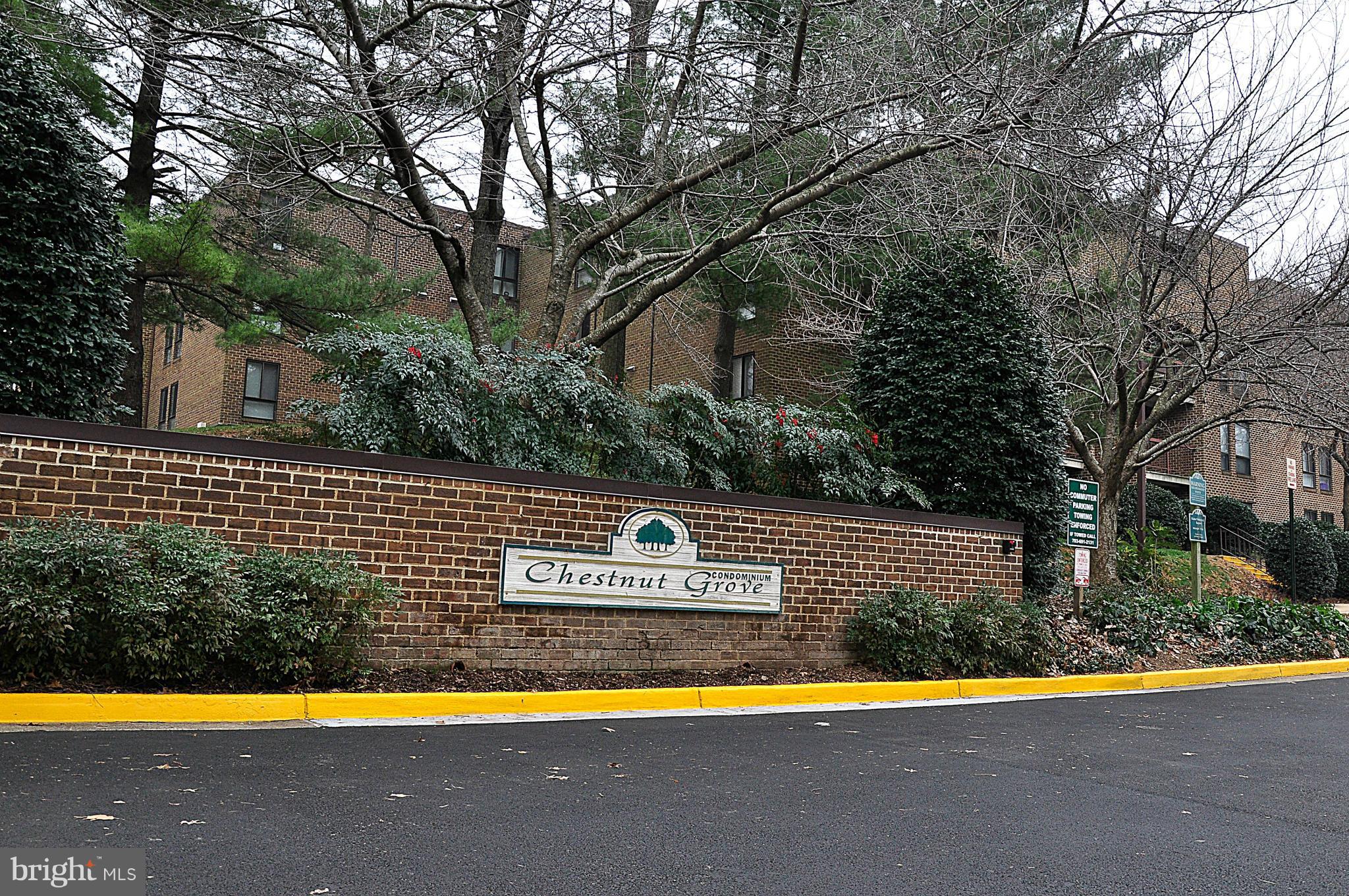 11228 Chestnut Grove Square, Unit 329 Reston, VA 20190 - Photo 2 of 27 Community
