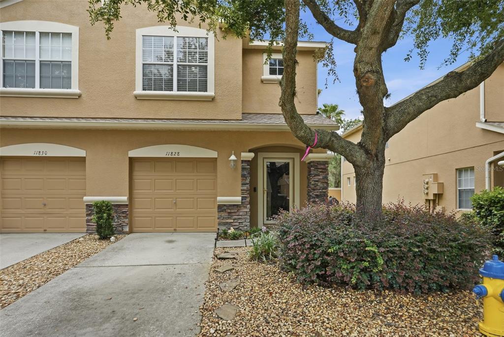 11828 Castine Street New Port Richey, FL 34654 - Photo 2 of 36