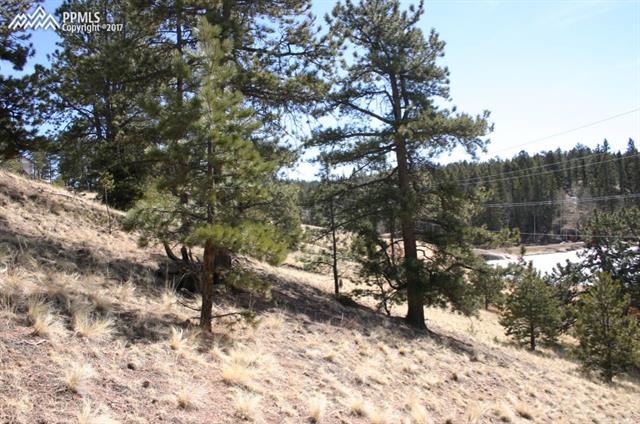 73 Arrowhead Road Florissant, CO 80816 - Photo 9 of 17