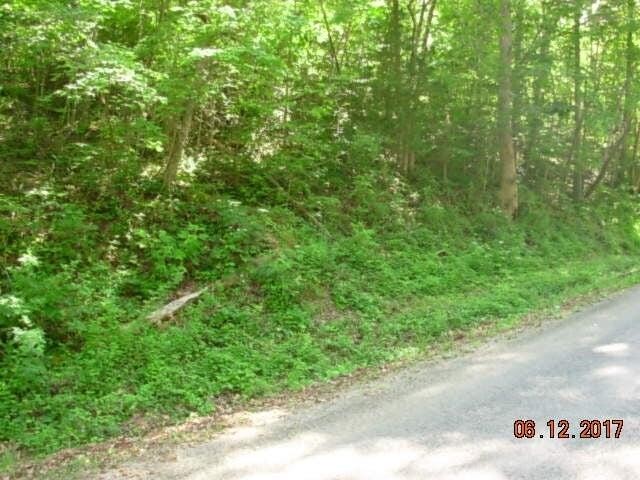 179 County Road Decatur, TN 37322 - Photo 1 of 1 a view of a street with a tree
