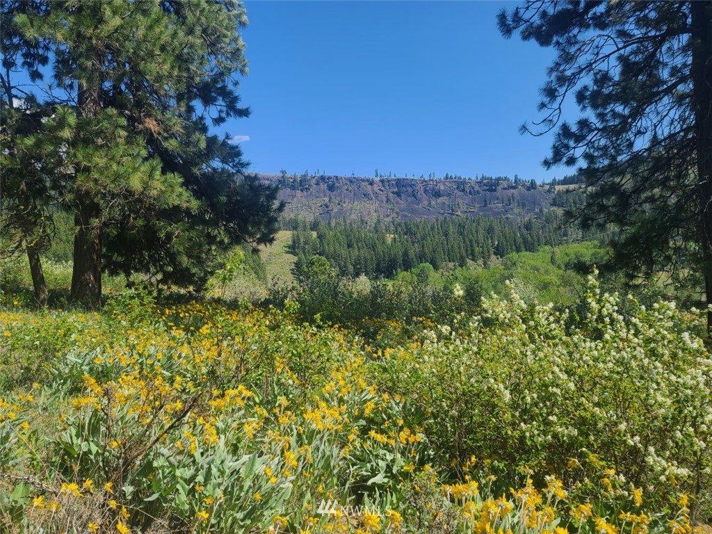 2 C Hidden Valley Road Cle Elum, WA 98922 - Photo 1 of 28 Gallery Image 1
