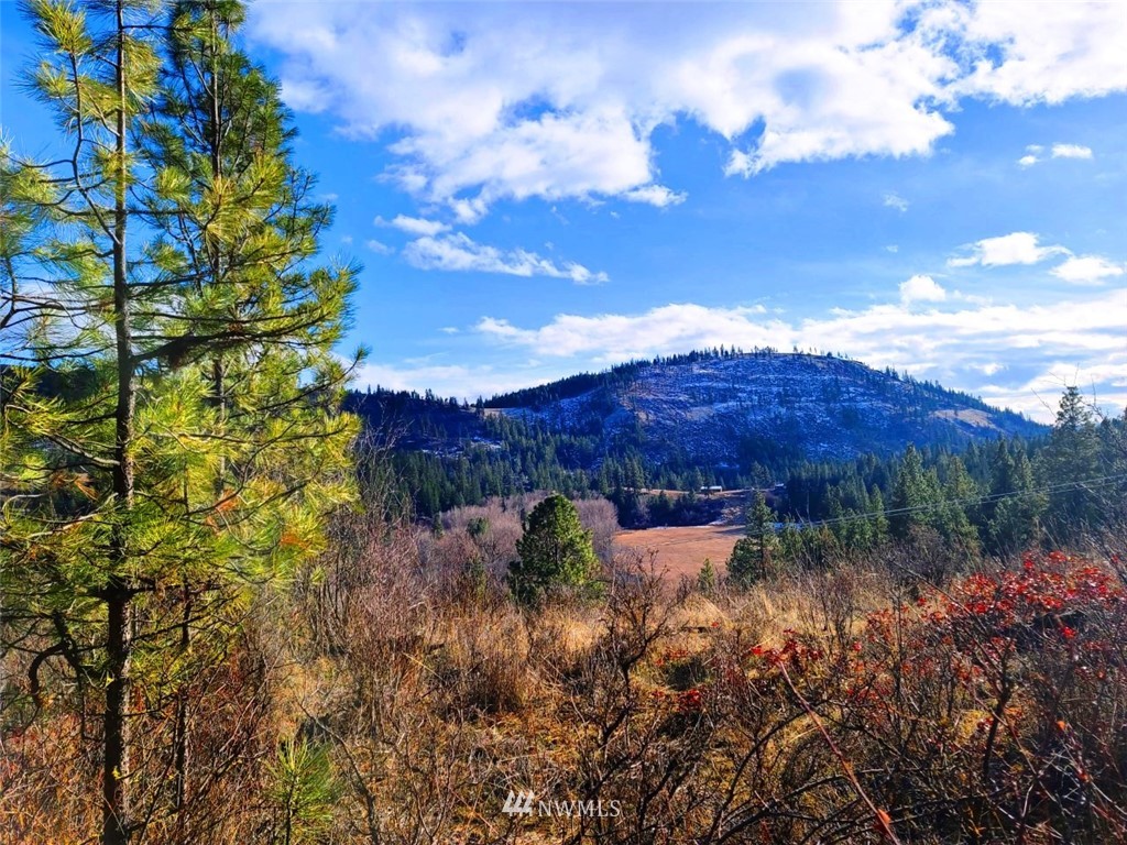 2 C Hidden Valley Road Cle Elum, WA 98922 - Photo 2 of 28 Gallery Image 2