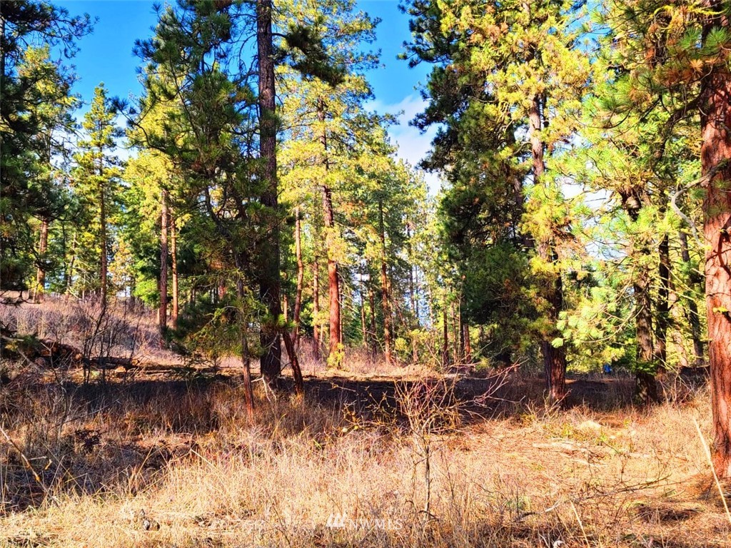 2 C Hidden Valley Road Cle Elum, WA 98922 - Photo 11 of 28 Gallery Image 11