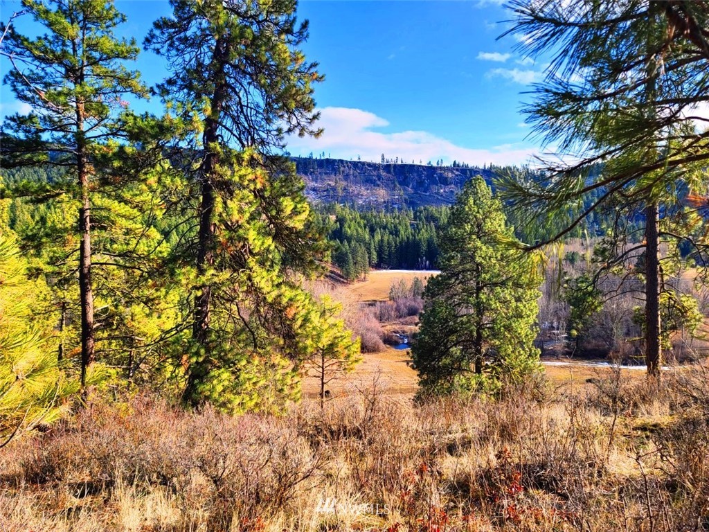 2 C Hidden Valley Road Cle Elum, WA 98922 - Photo 13 of 28 Gallery Image 13