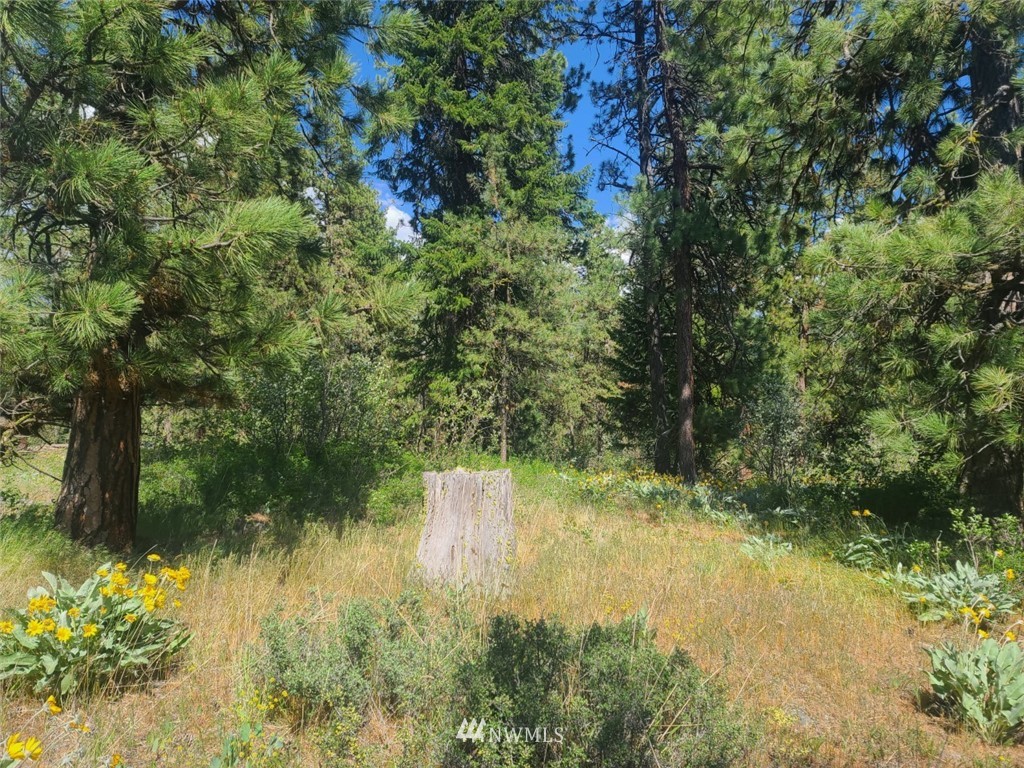 2 C Hidden Valley Road Cle Elum, WA 98922 - Photo 14 of 28 Gallery Image 14