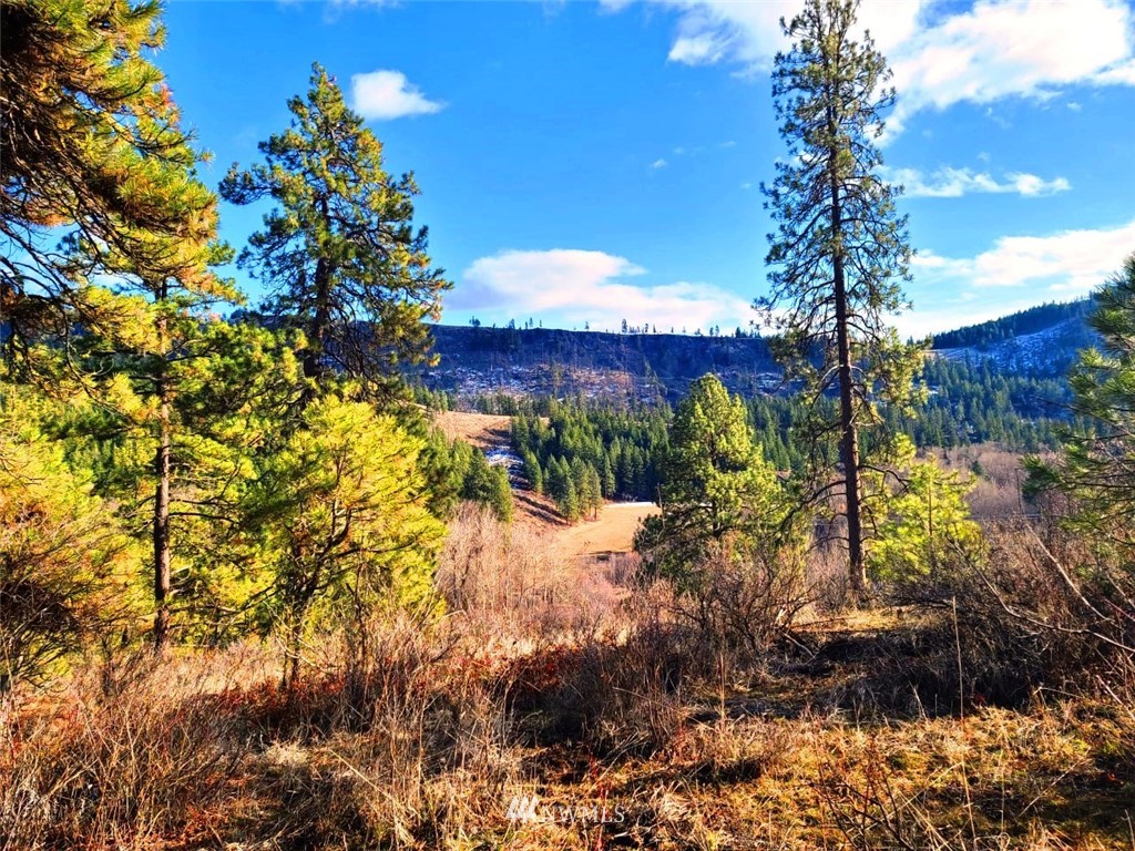 2 C Hidden Valley Road Cle Elum, WA 98922 - Photo 15 of 28 Gallery Image 15