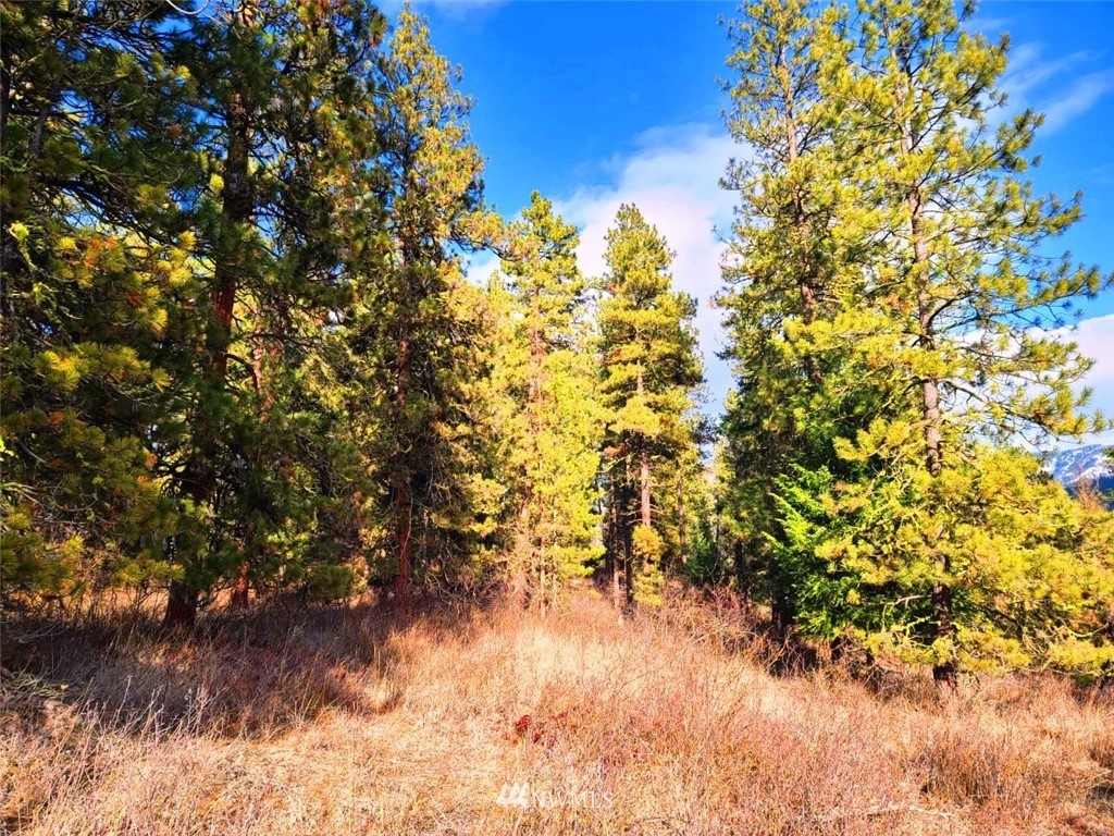 2 C Hidden Valley Road Cle Elum, WA 98922 - Photo 16 of 28 Gallery Image 16