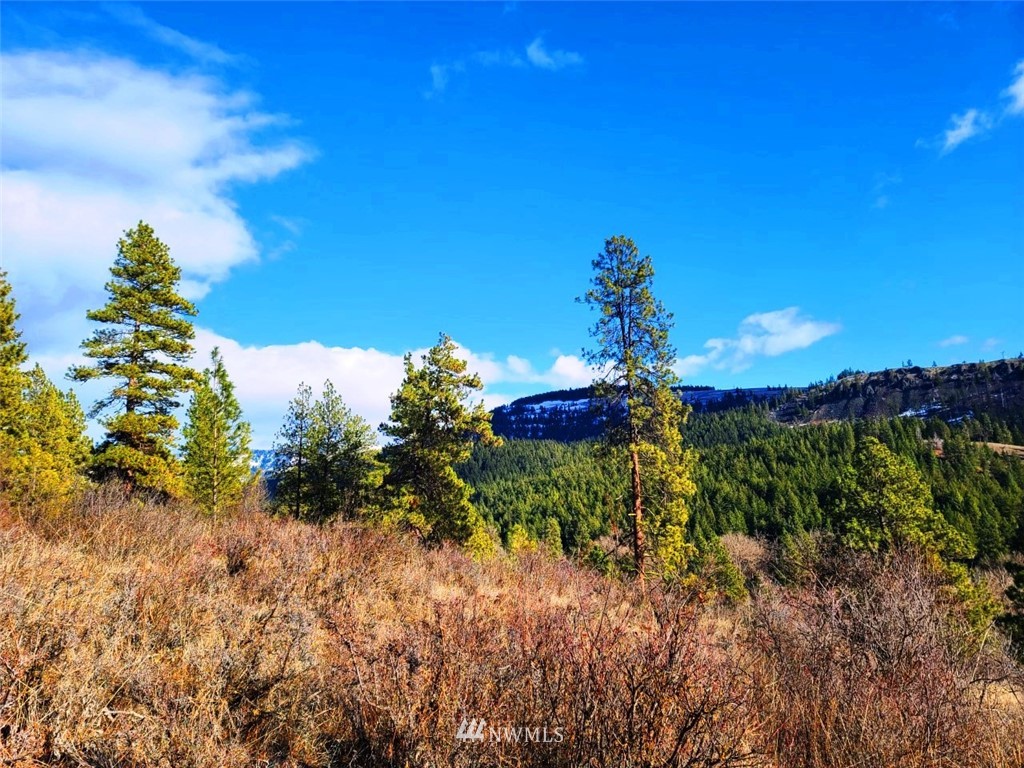 2 C Hidden Valley Road Cle Elum, WA 98922 - Photo 17 of 28 Gallery Image 17