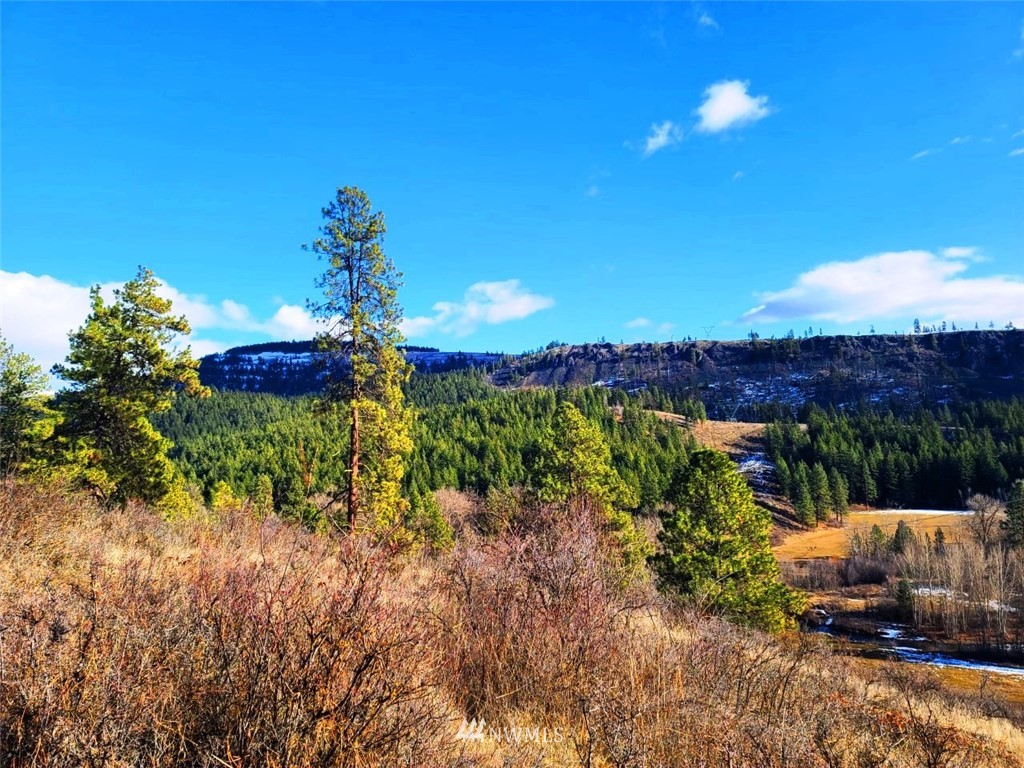 2 C Hidden Valley Road Cle Elum, WA 98922 - Photo 18 of 28 Gallery Image 18