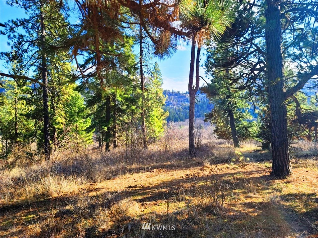 2 C Hidden Valley Road Cle Elum, WA 98922 - Photo 19 of 28 Gallery Image 19