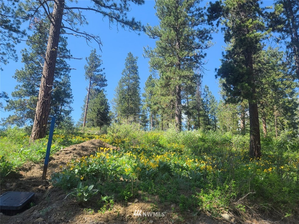 2 C Hidden Valley Road Cle Elum, WA 98922 - Photo 3 of 28 Gallery Image 3