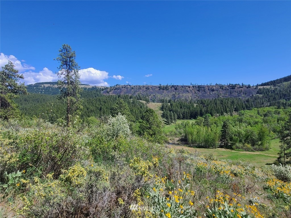 2 C Hidden Valley Road Cle Elum, WA 98922 - Photo 22 of 28 Gallery Image 22