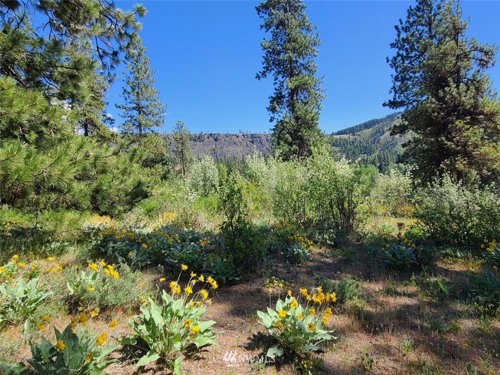 2 C Hidden Valley Road Cle Elum, WA 98922 - Photo 27 of 28 Gallery Image 27
