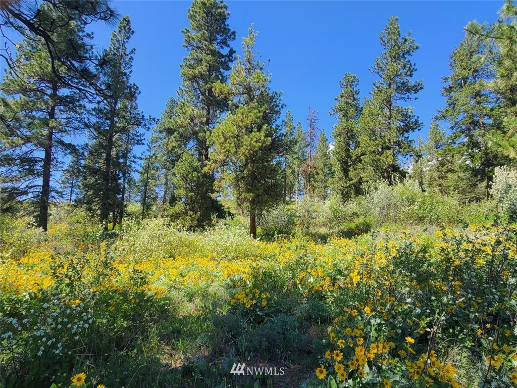 2 C Hidden Valley Road Cle Elum, WA 98922 - Photo 28 of 28 Gallery Image 28