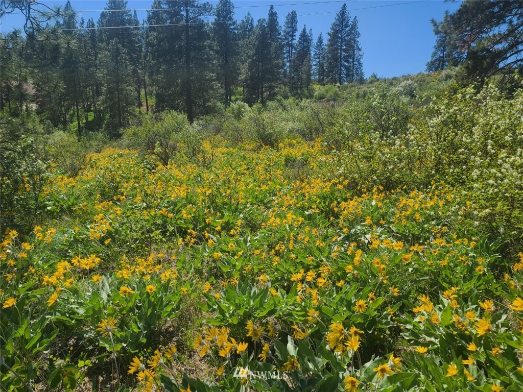 2 C Hidden Valley Road Cle Elum, WA 98922 - Photo 4 of 28 Gallery Image 4