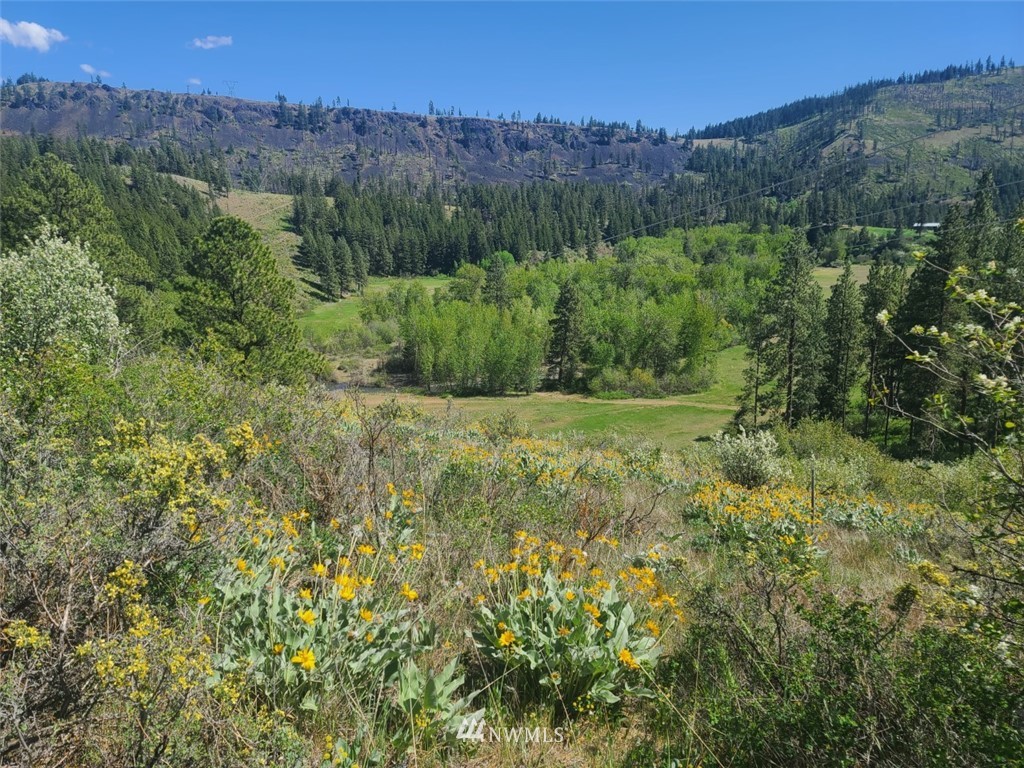 2 C Hidden Valley Road Cle Elum, WA 98922 - Photo 5 of 28 Gallery Image 5