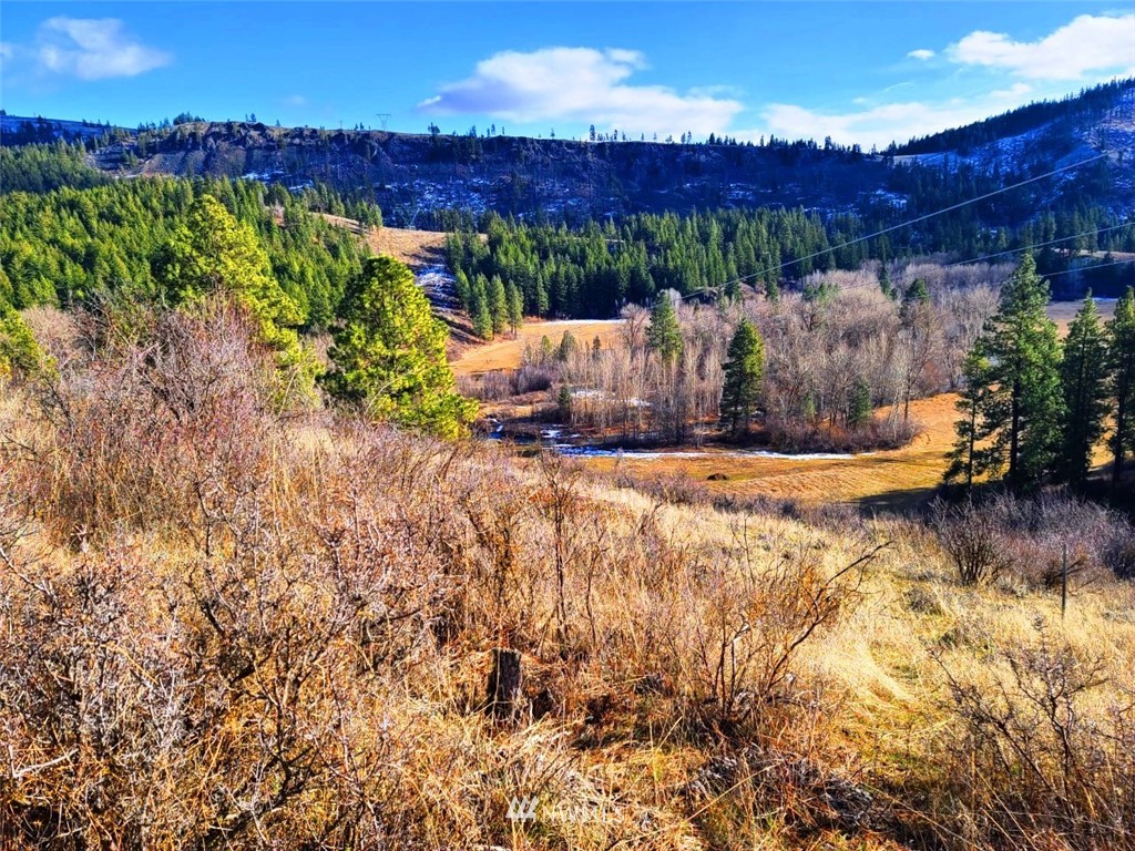 2 C Hidden Valley Road Cle Elum, WA 98922 - Photo 6 of 28 Gallery Image 6