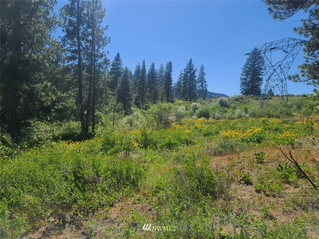 2 C Hidden Valley Road Cle Elum, WA 98922 - Photo 7 of 28 Gallery Image 7