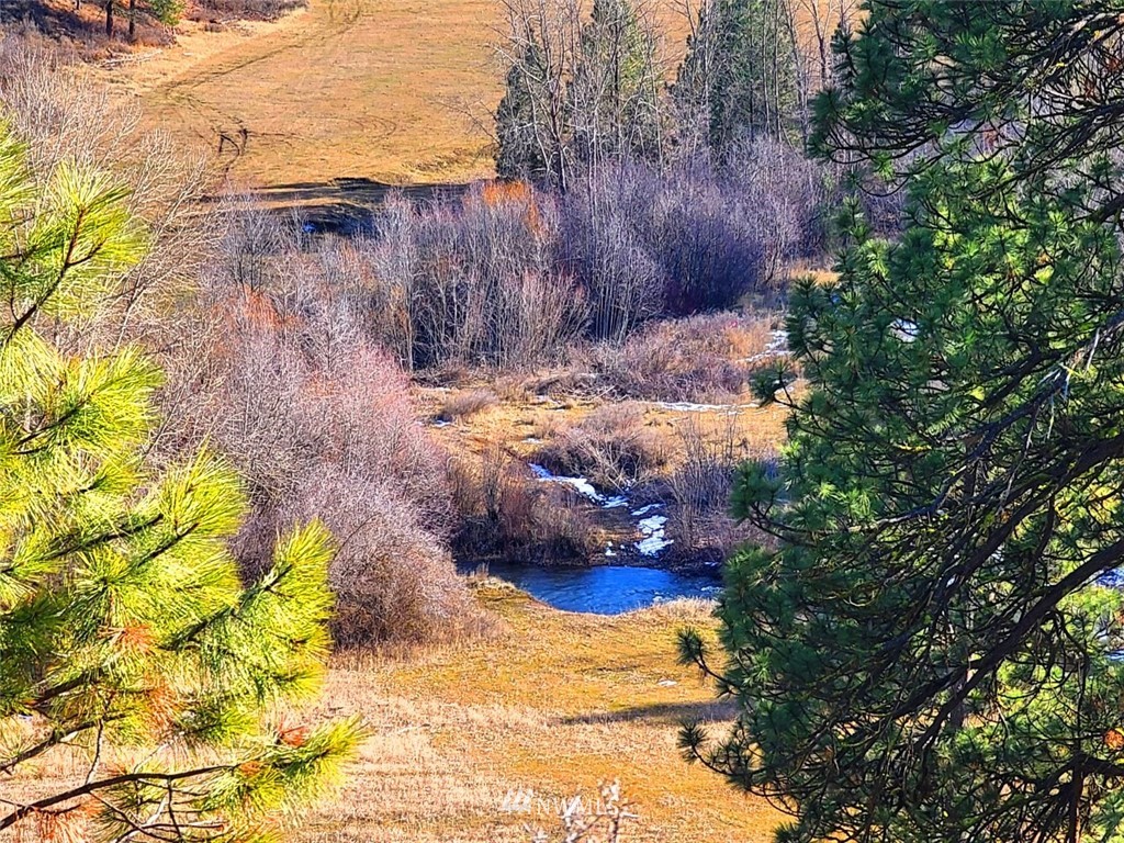 2 C Hidden Valley Road Cle Elum, WA 98922 - Photo 8 of 28 Gallery Image 8