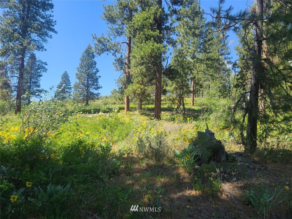 2 C Hidden Valley Road Cle Elum, WA 98922 - Photo 9 of 28 Gallery Image 9