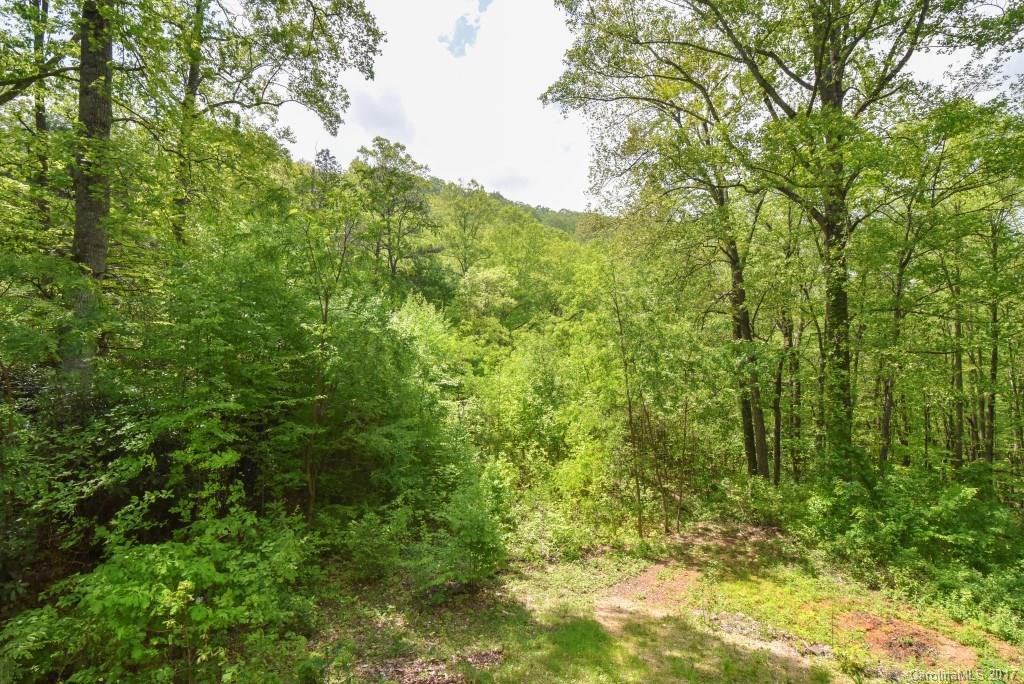 41 Saw Branch Road Candler, NC 28715 - Photo 8 of 24 Gallery Image 8
