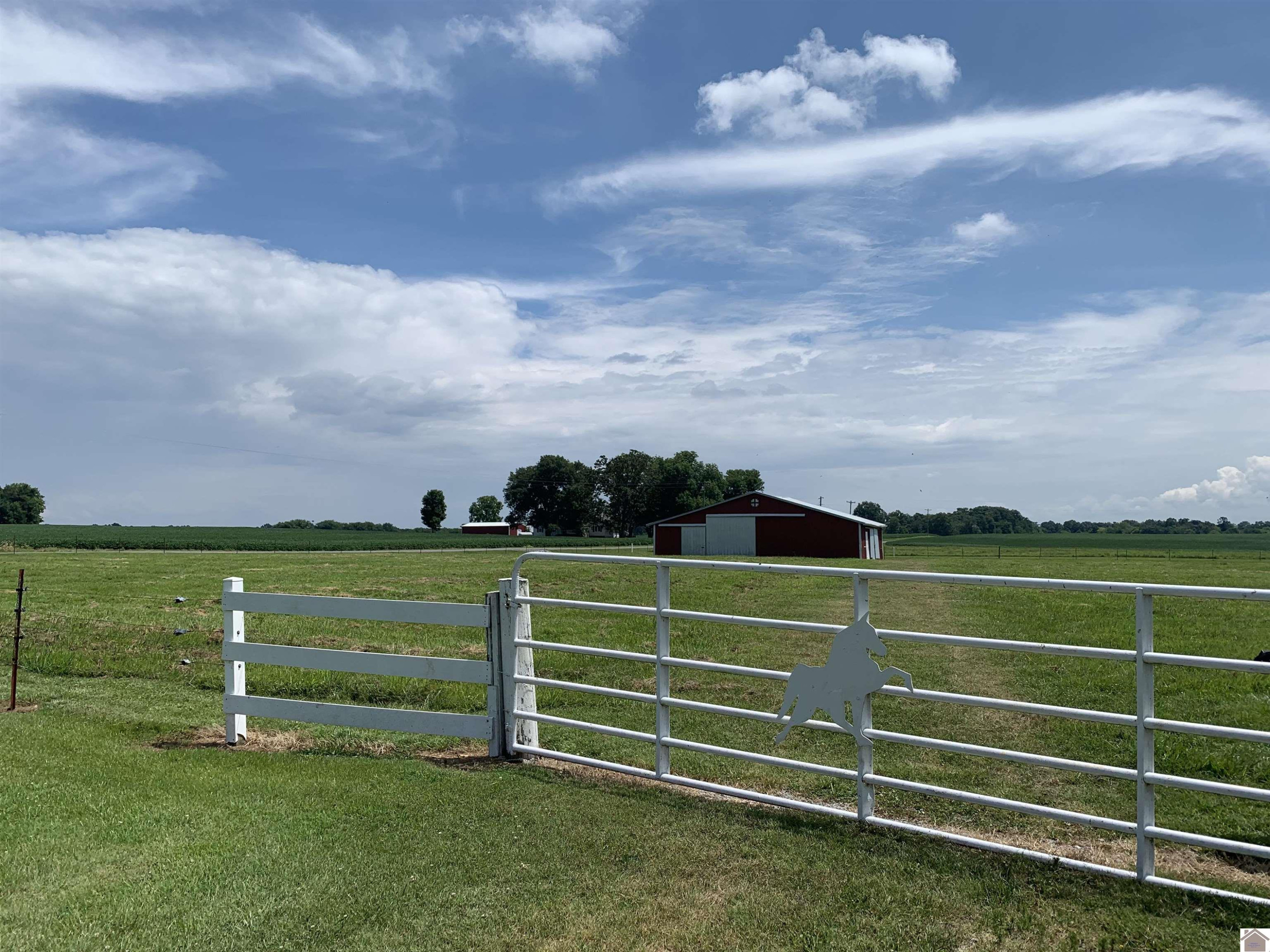 261 Faxon Road Murray, KY 42071 - Photo 32 of 34 Photo 33