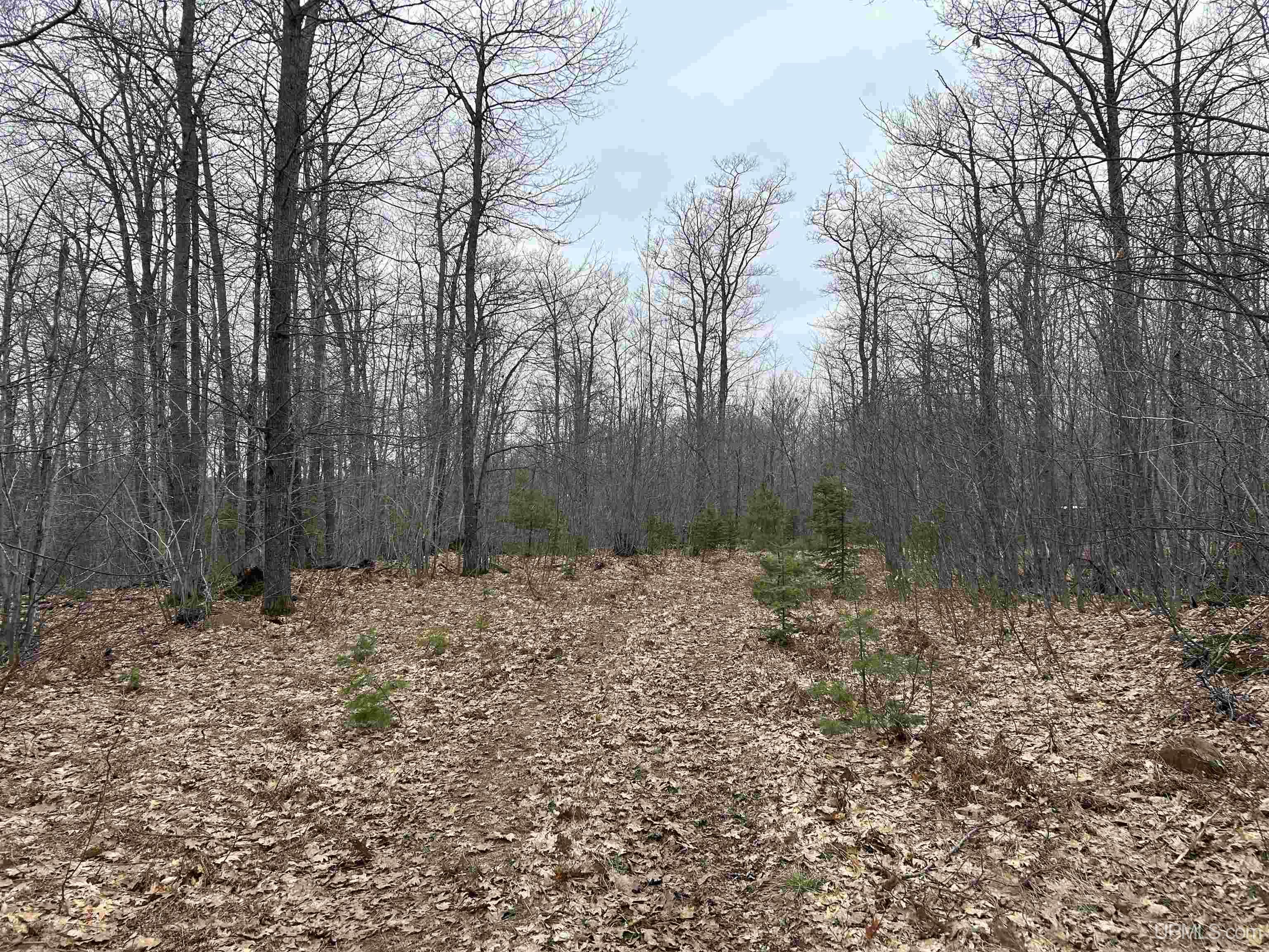 Near Krooks Road Negaunee, MI 49866 - Photo 1 of 15