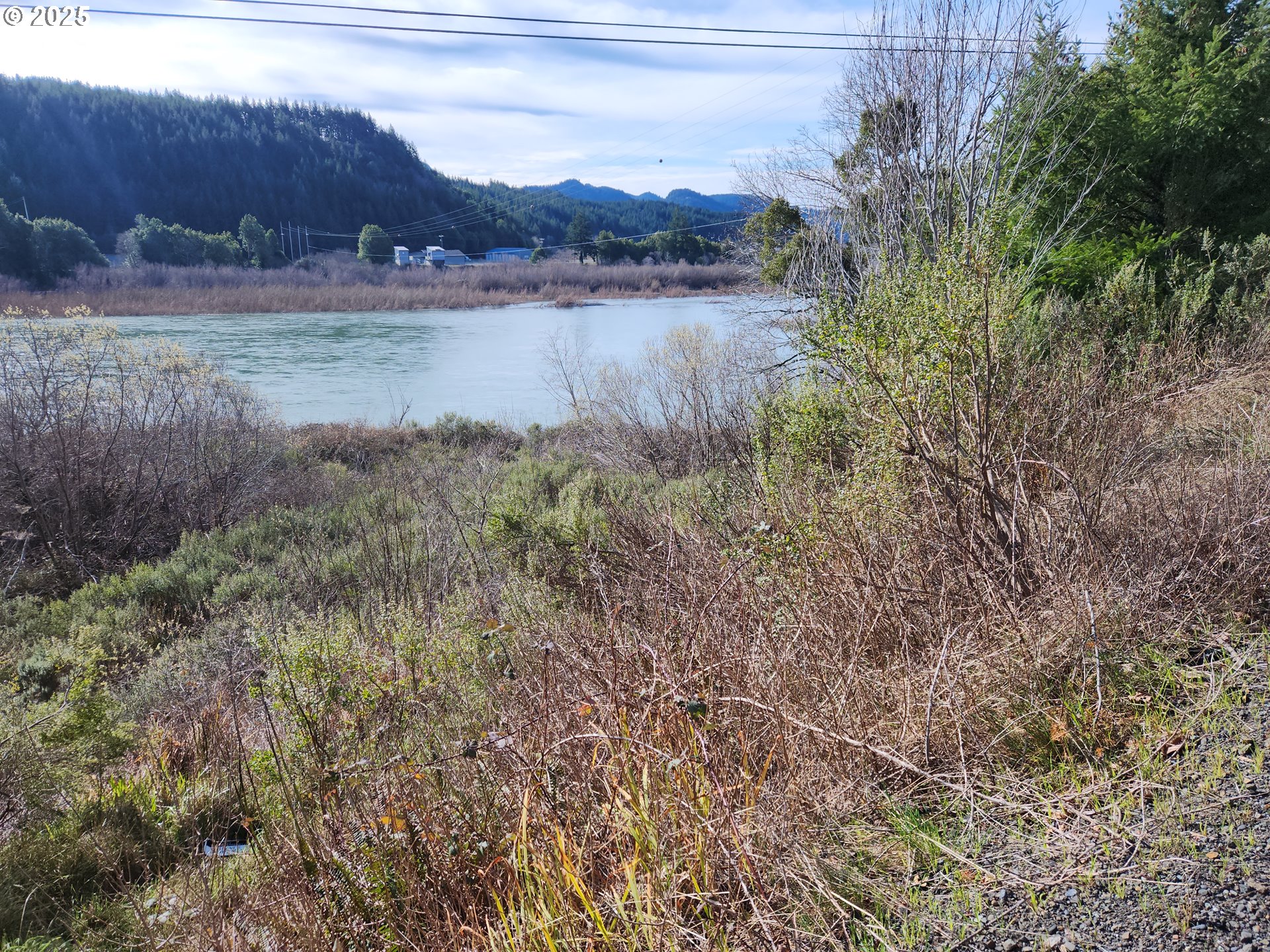 North Bank Rogue River Road, Unit 705 Gold Beach, OR 97444 - Photo 4 of 5 Gallery Image 4