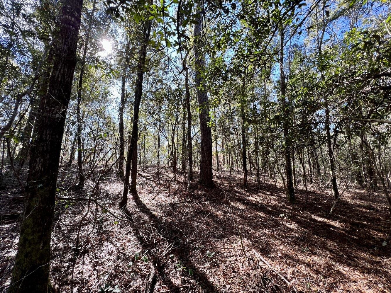 0 Dixon Road Bay Minette, AL 36507 - Photo 37 of 50