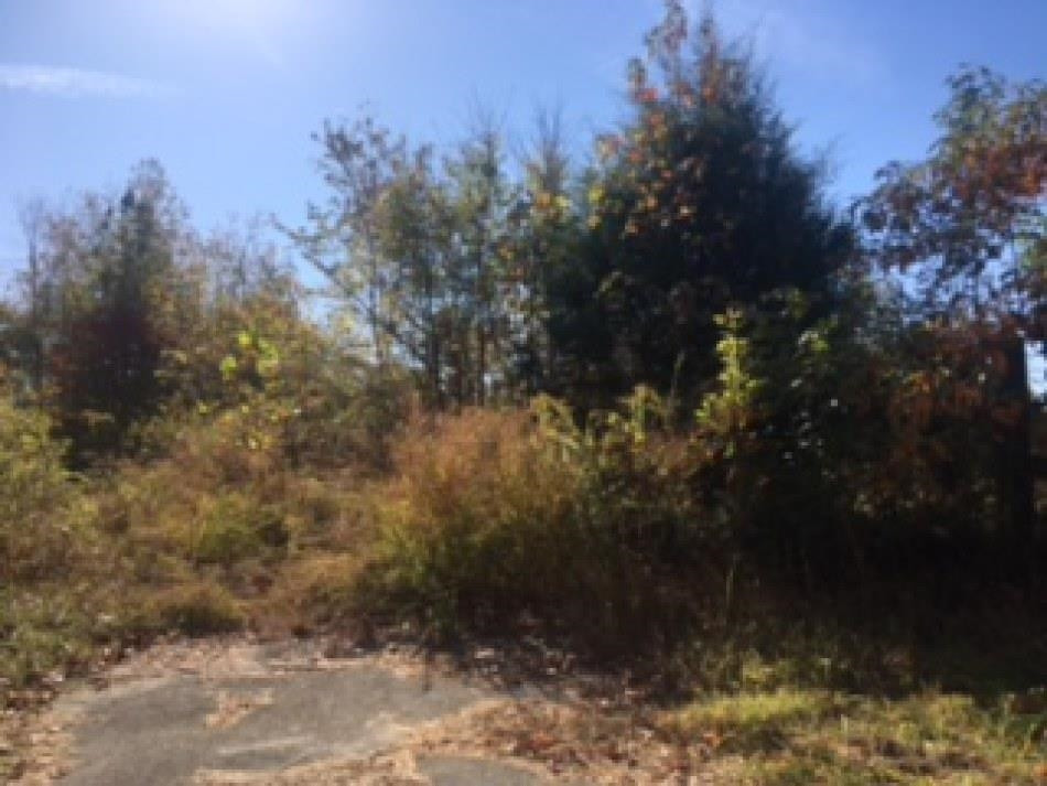 365 Bethlehem Church Road Huntingdon, TN 38344 - Photo 1 of 6 Photo 1