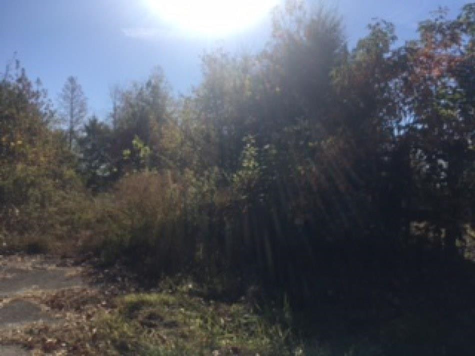 365 Bethlehem Church Road Huntingdon, TN 38344 - Photo 2 of 6 Photo 2