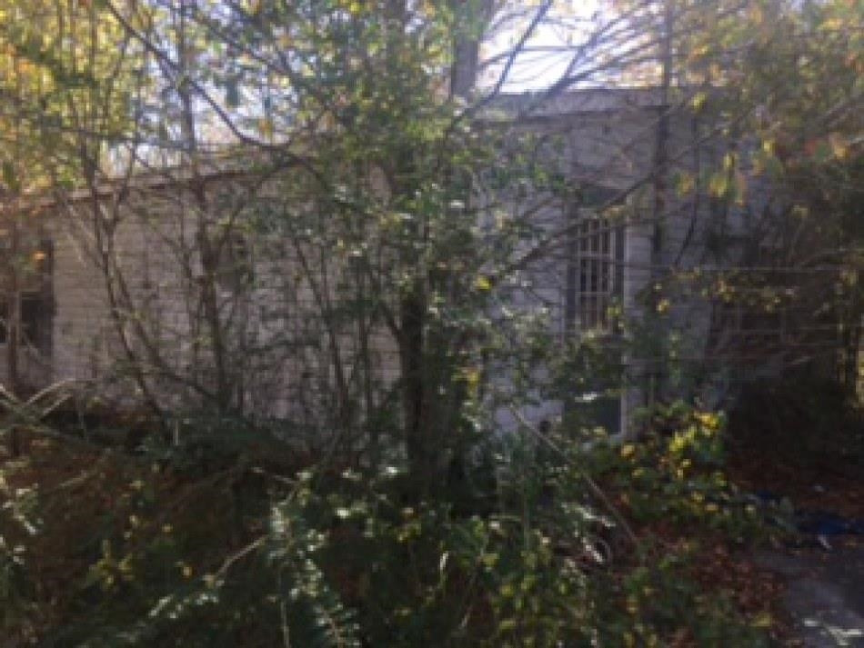 365 Bethlehem Church Road Huntingdon, TN 38344 - Photo 3 of 6 Photo 3