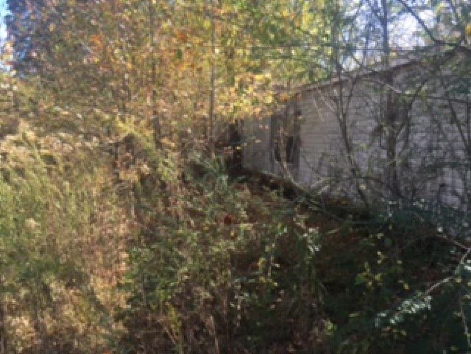 365 Bethlehem Church Road Huntingdon, TN 38344 - Photo 4 of 6 Photo 4