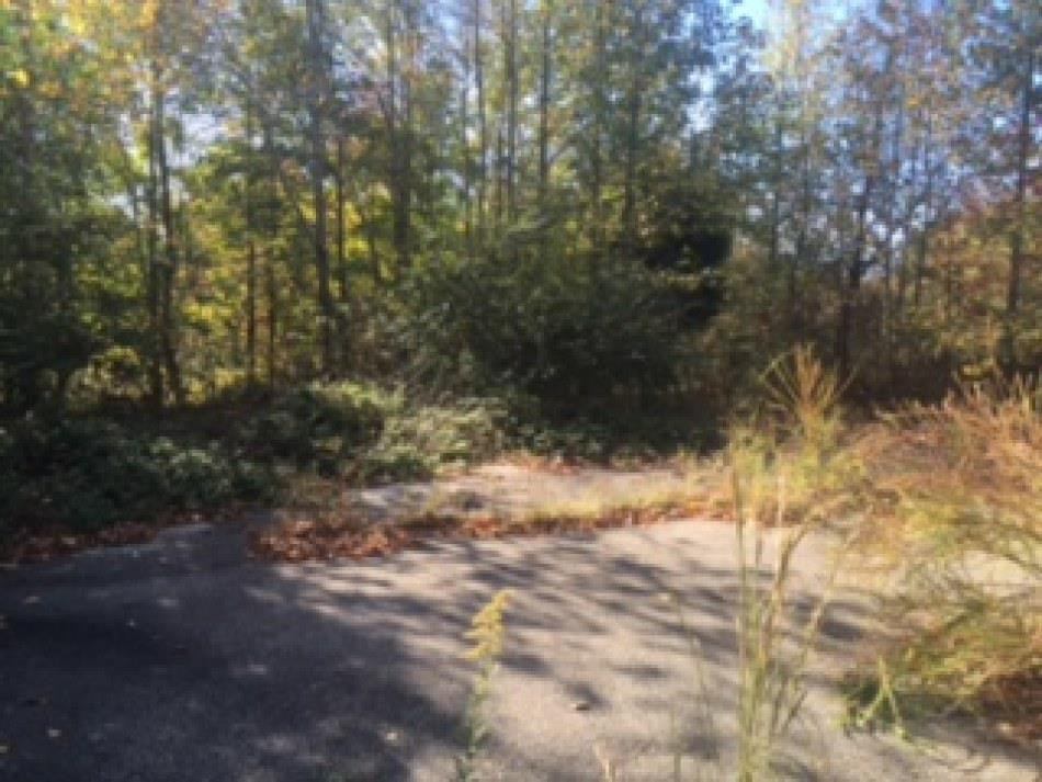 365 Bethlehem Church Road Huntingdon, TN 38344 - Photo 5 of 6 Photo 5