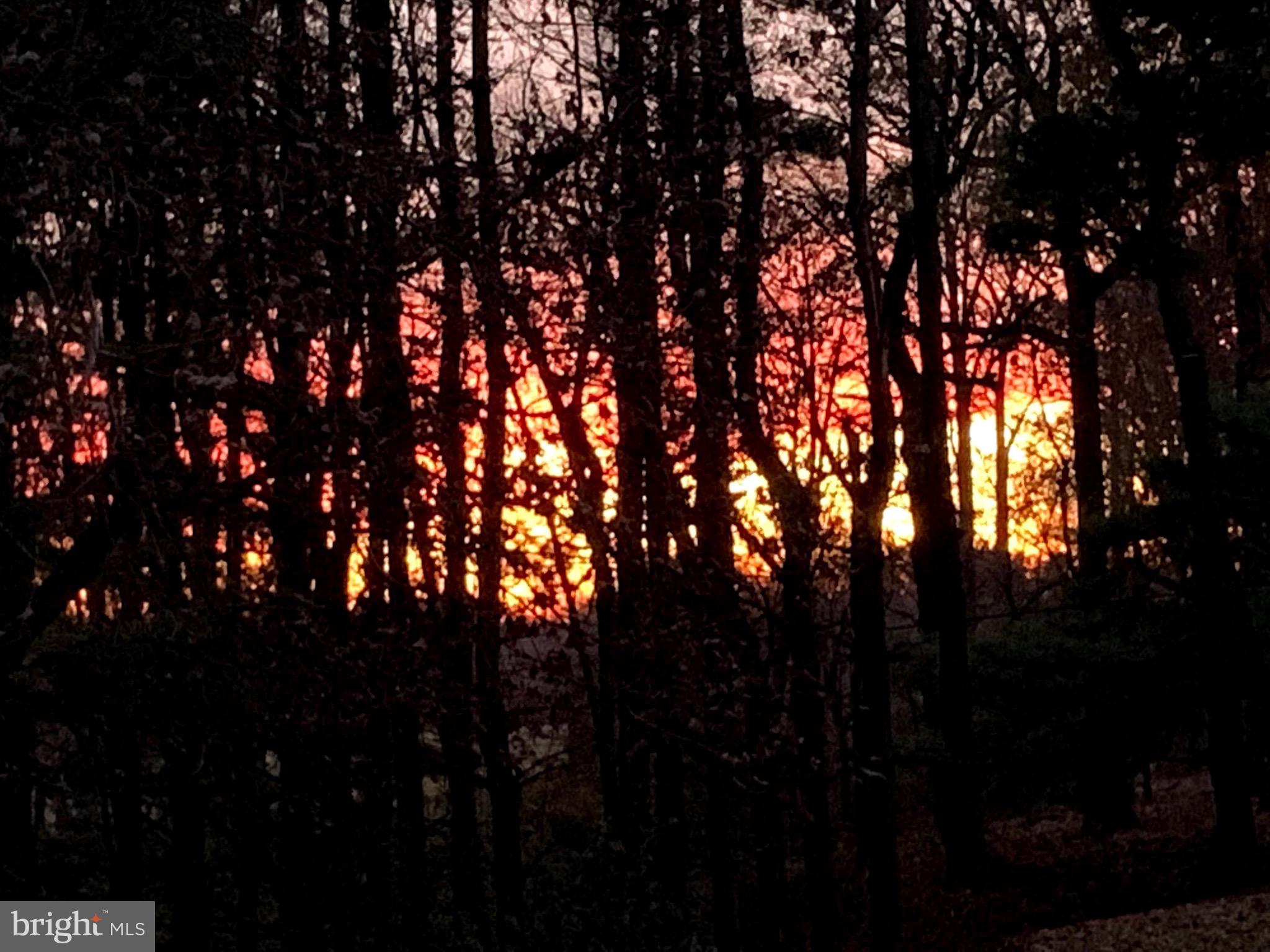 5235 Onion Road Pylesville, MD 21132 - Photo 49 of 49 Sunset view from the front of the house