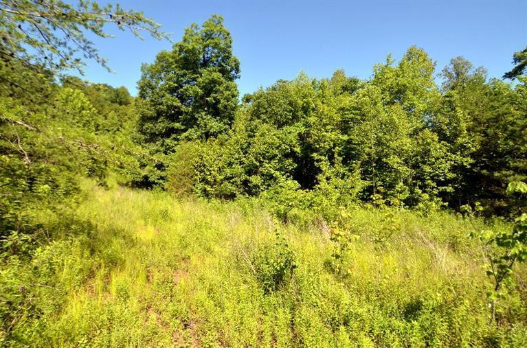 300 Farm Ridge Road Beattyville, KY 41311 - Photo 17 of 48 Photo 17