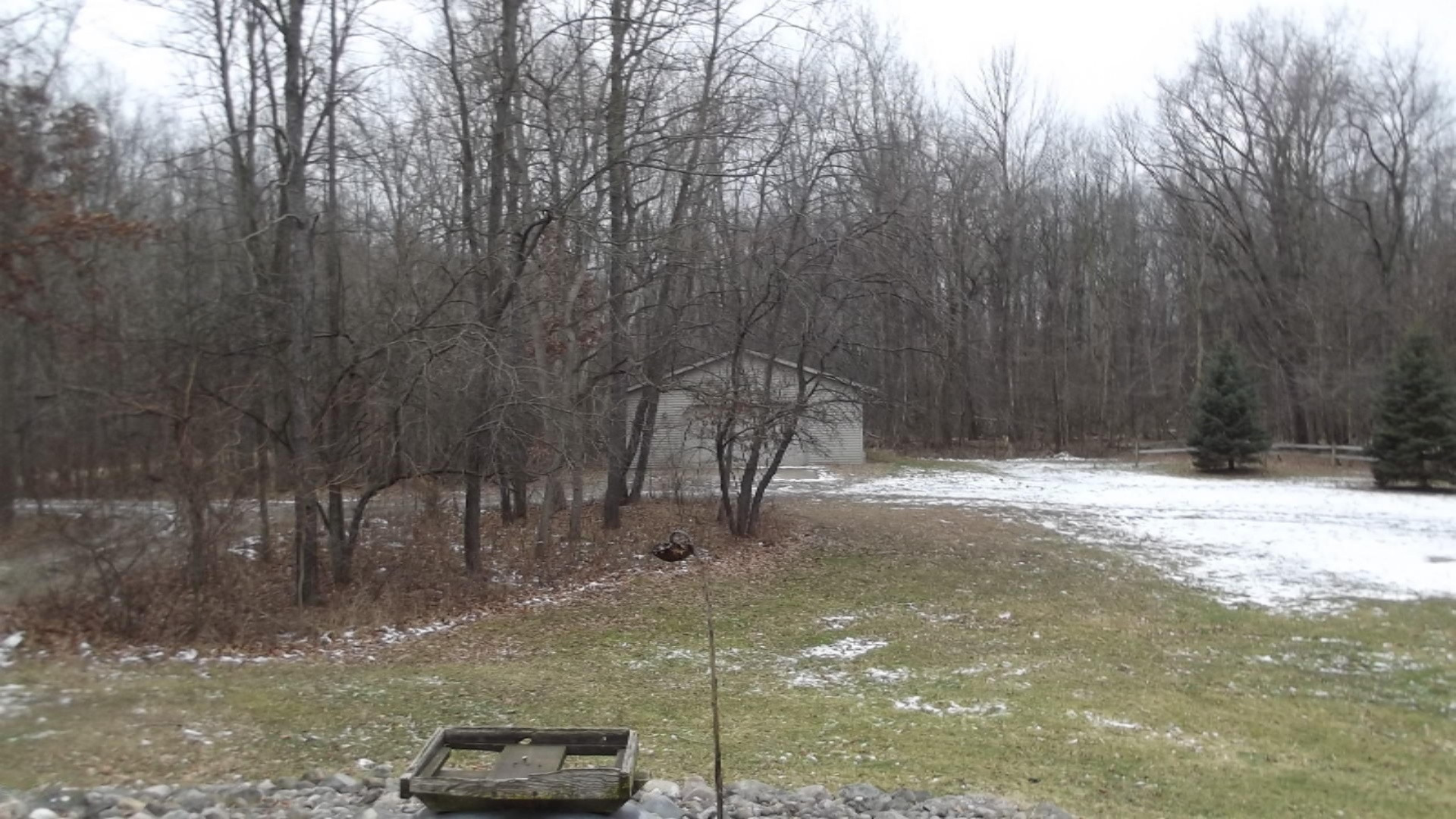 254 Prairie River Road Bronson, MI 49028 - Photo 3 of 22 DSCF0463