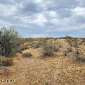 0 West Lone Mountain Road, Unit 139 Wittmann, AZ 85361 - Photo 6 of 11 a view of a dry yard with lots of trees